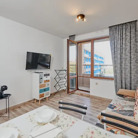 радина * 帕莫瑞