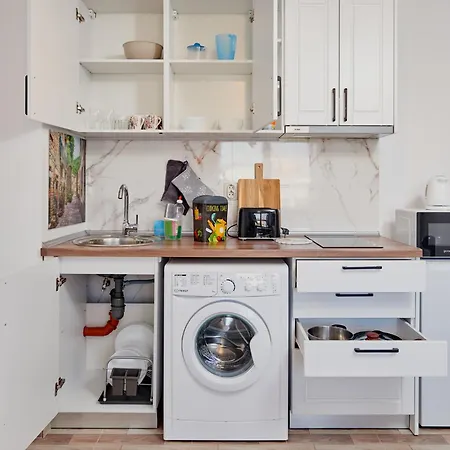 радина 帕莫瑞