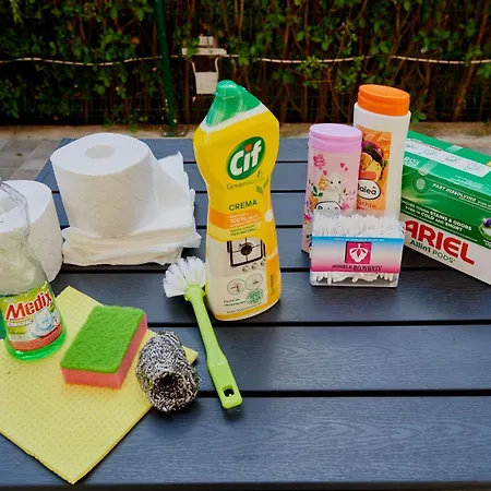 радина * 帕莫瑞