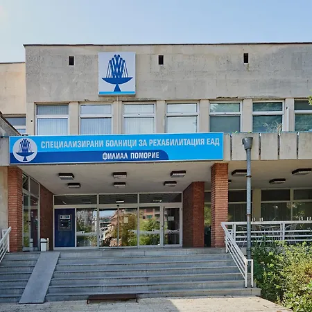 радина 帕莫瑞